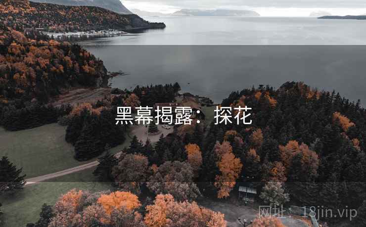 黑幕揭露：探花  第2张