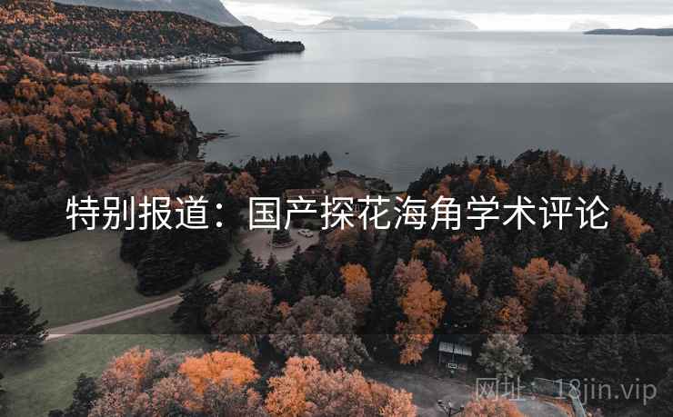 特别报道:国产探花海角学术评论