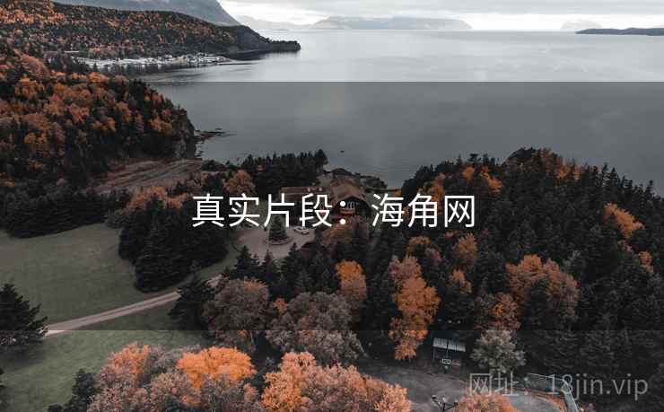 真实片段：海角网