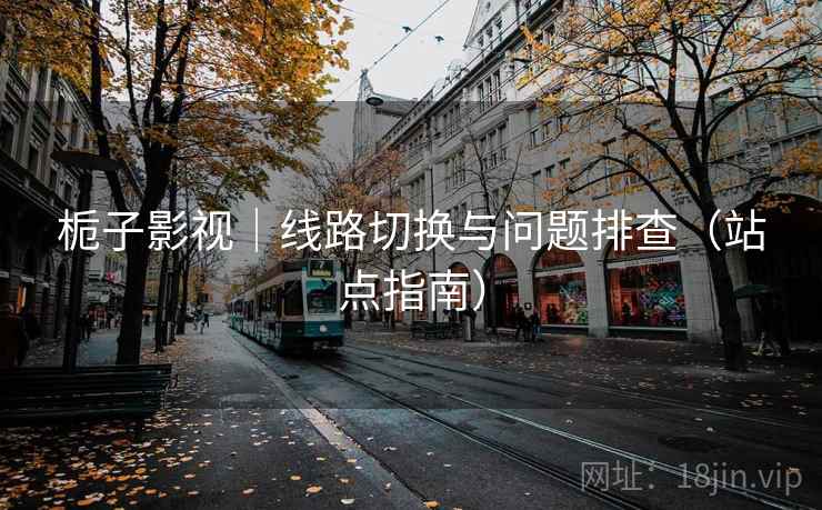 栀子影视｜线路切换与问题排查（站点指南）