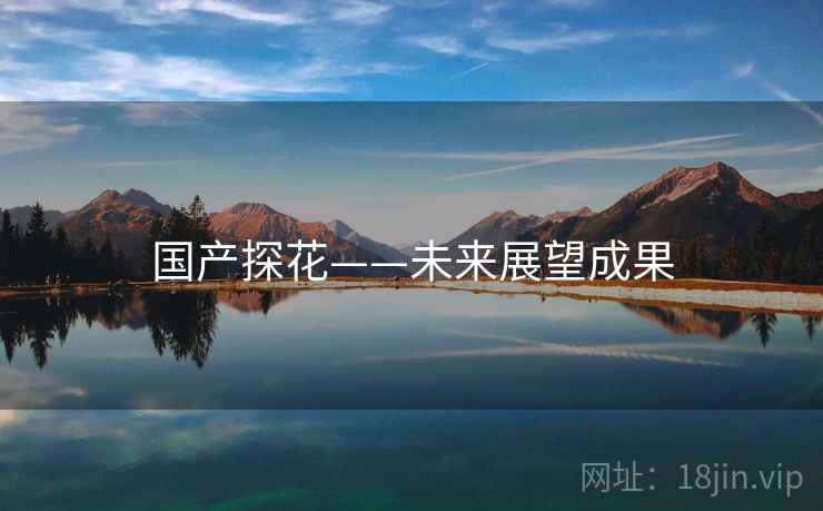 国产探花——未来展望成果