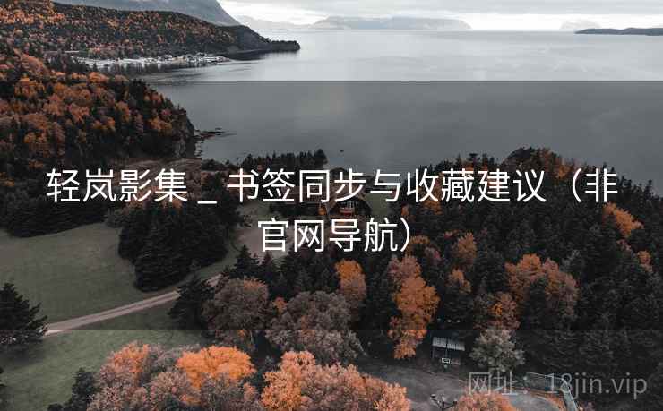 轻岚影集 _ 书签同步与收藏建议(非官网导航)