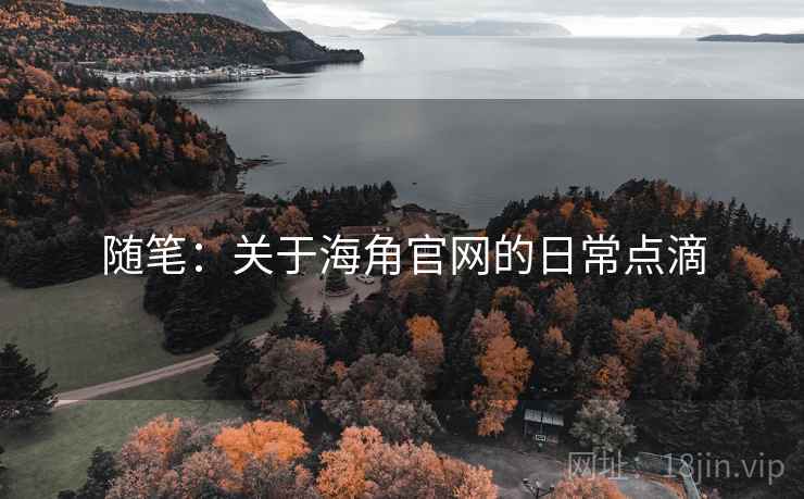 随笔:关于海角官网的日常点滴